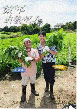悬疑推理短剧第七位证人封面